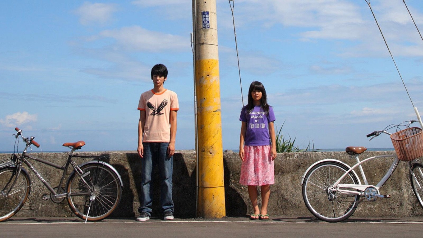 Somewhere I Have Never Travelled Background