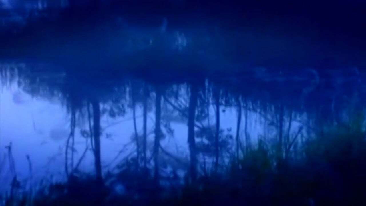 Os Melhores Anos de Nossas Vidas Background