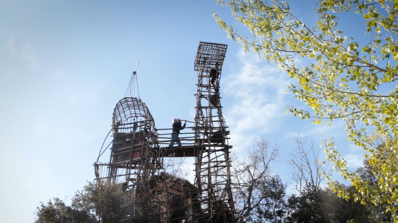 The Creator of the Jungle Background