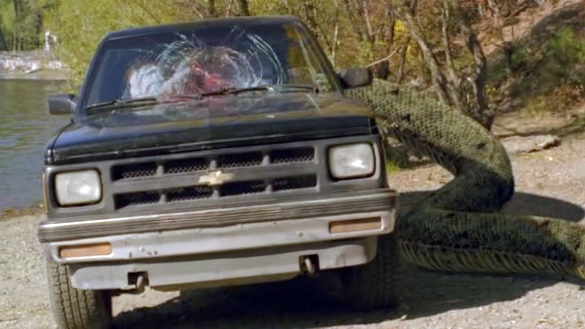 Mega Snake Background