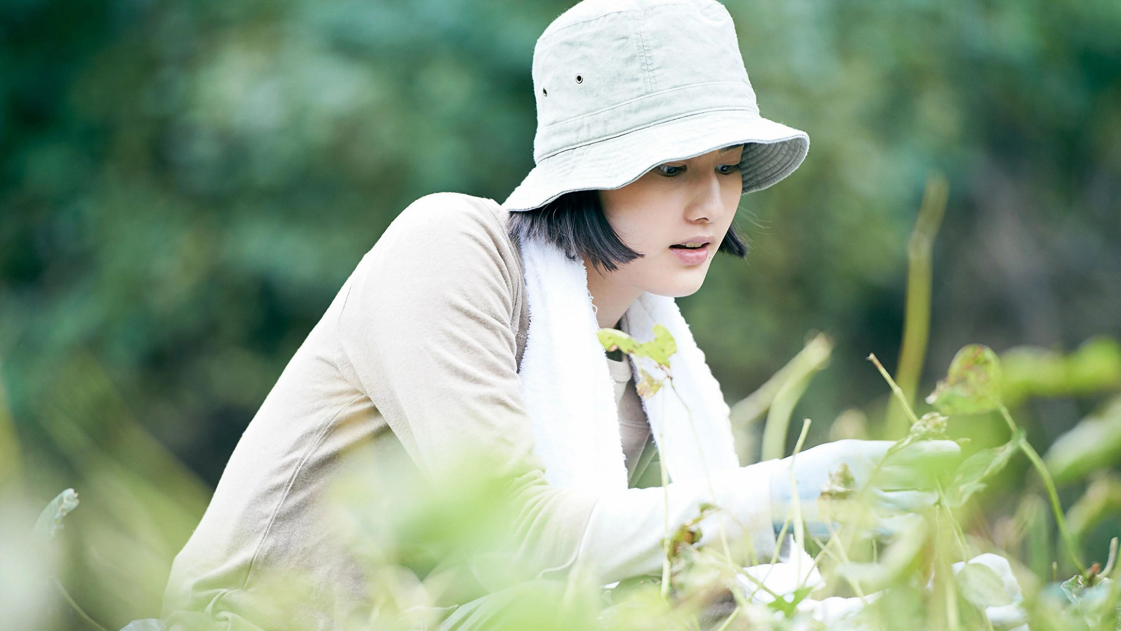 Little Forest: Summer/Autumn Background