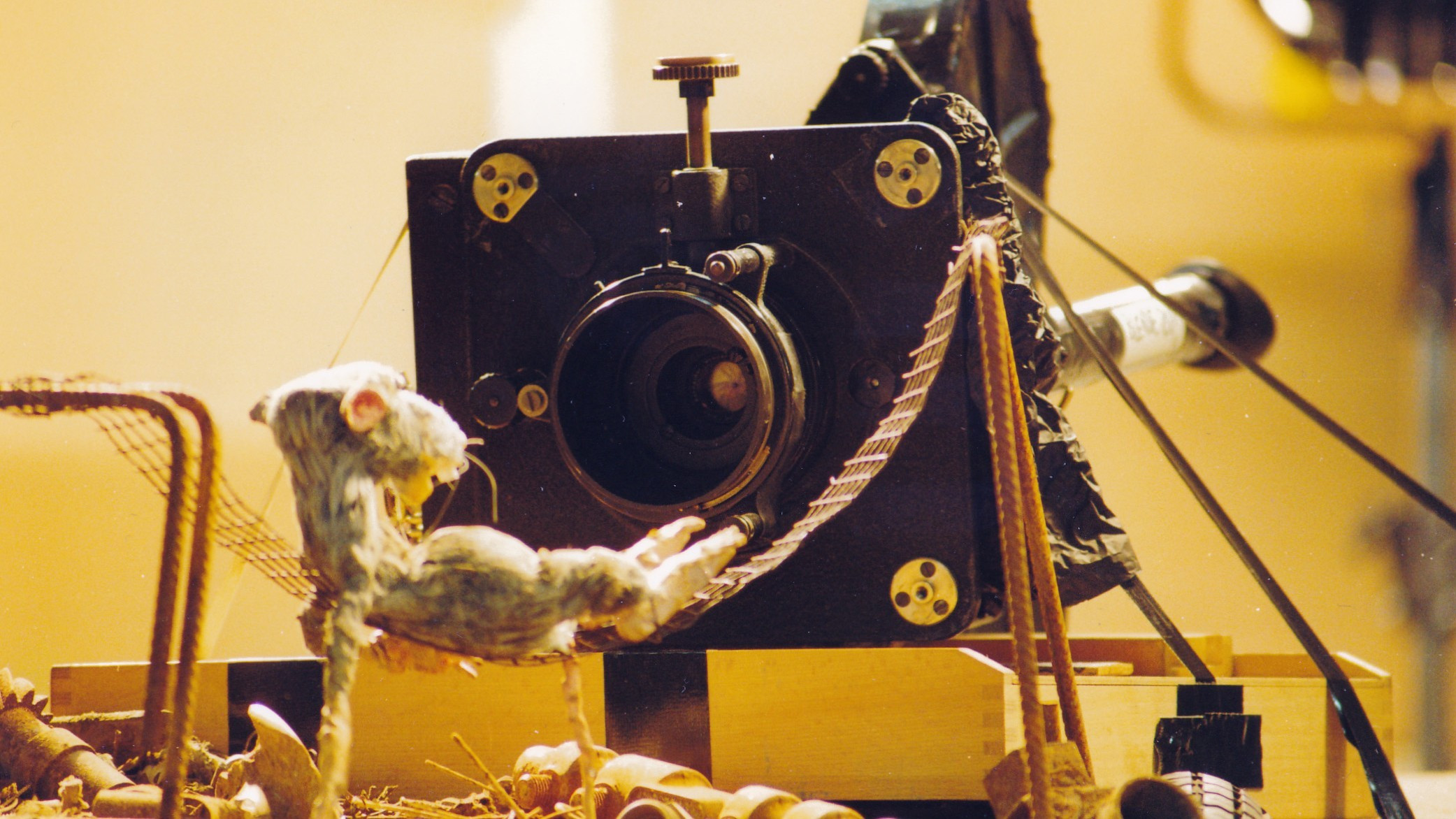 Terminal: Paradise Background