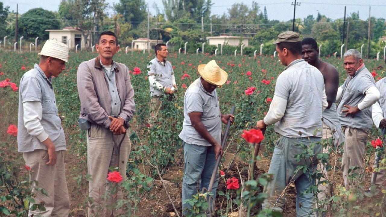 Waiting for Fidel Background