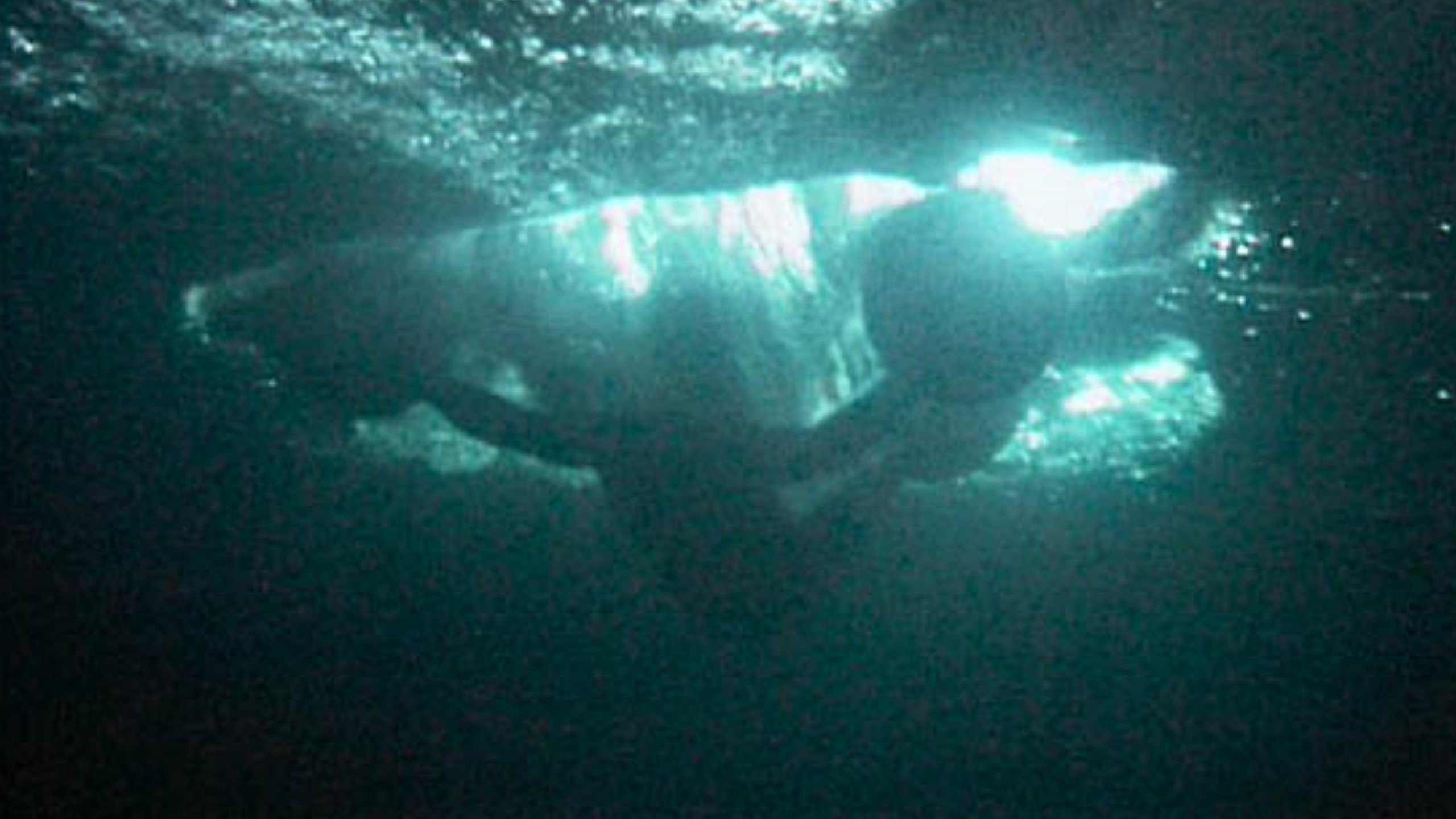 Man With Balls On Hands and Feet - Man on Water Background