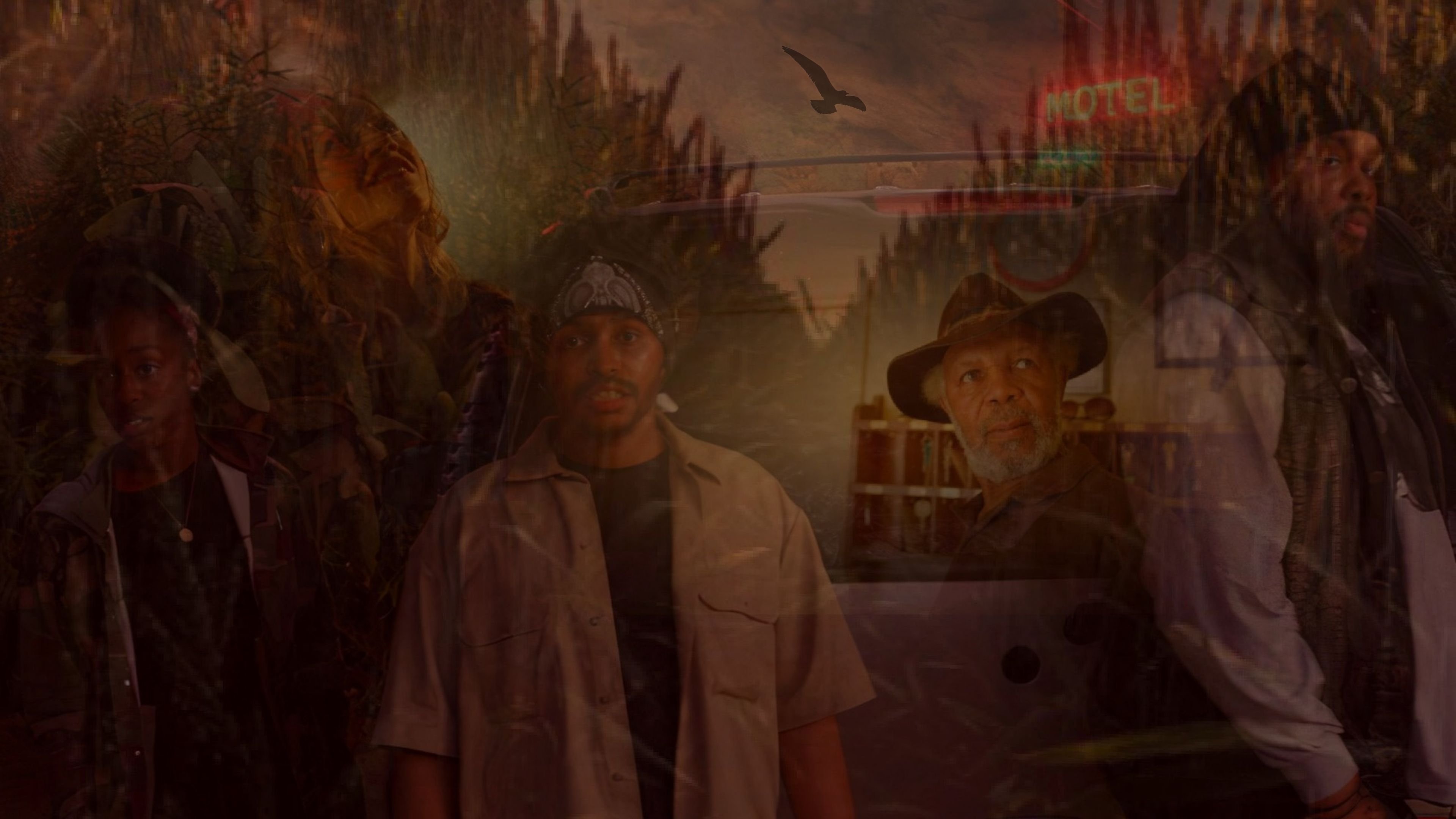 Harvested Background