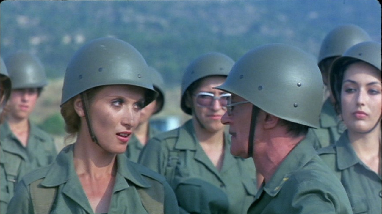 The Fantarines Background