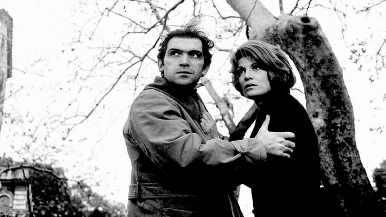 In the name of the law Background