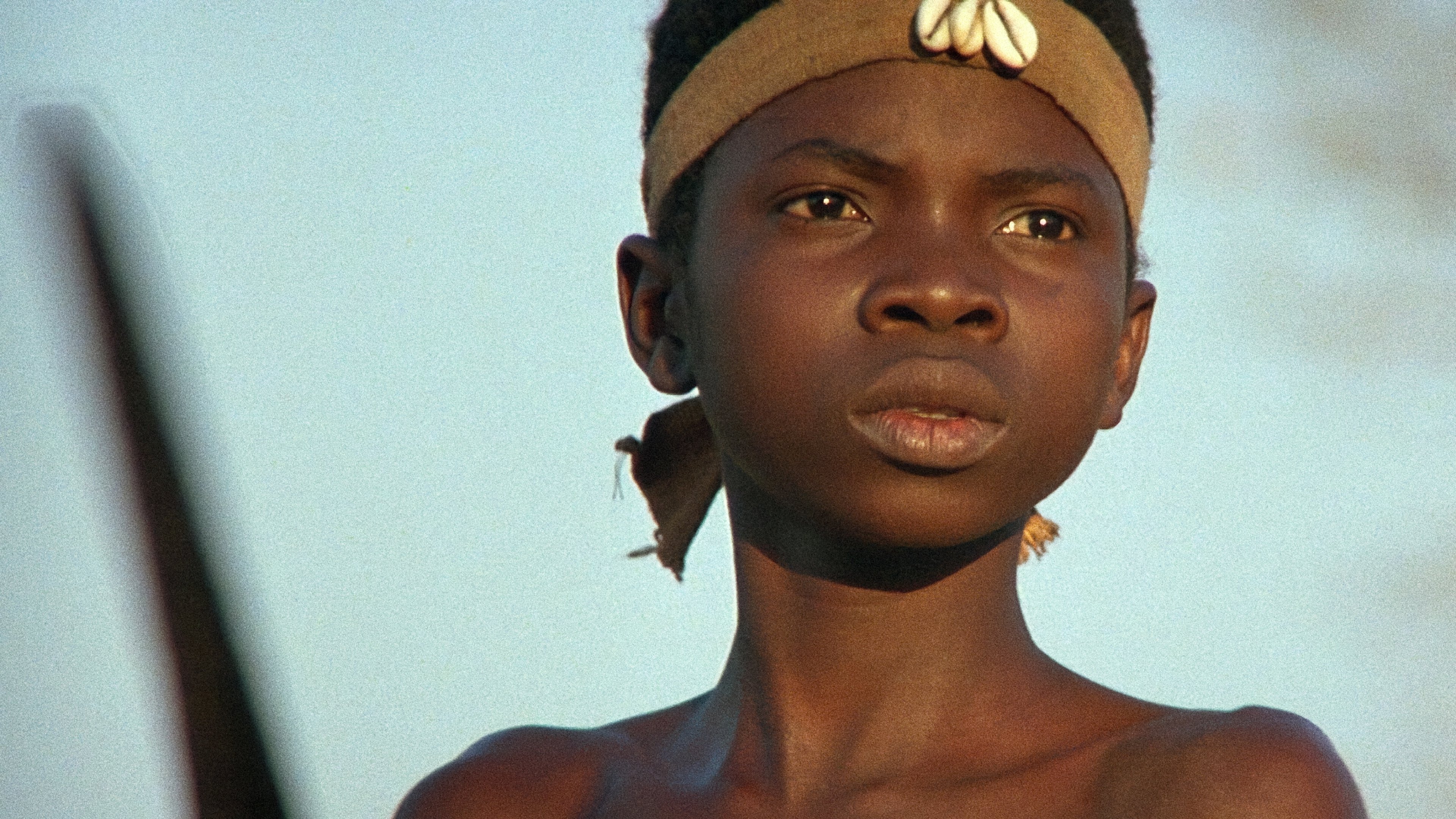 The Lion Child Background