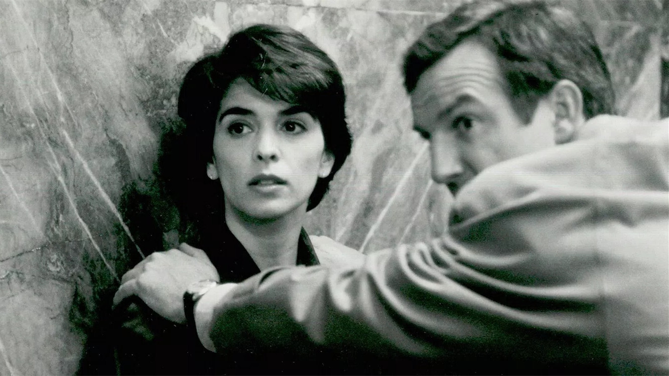 Whispers in the Dark Background