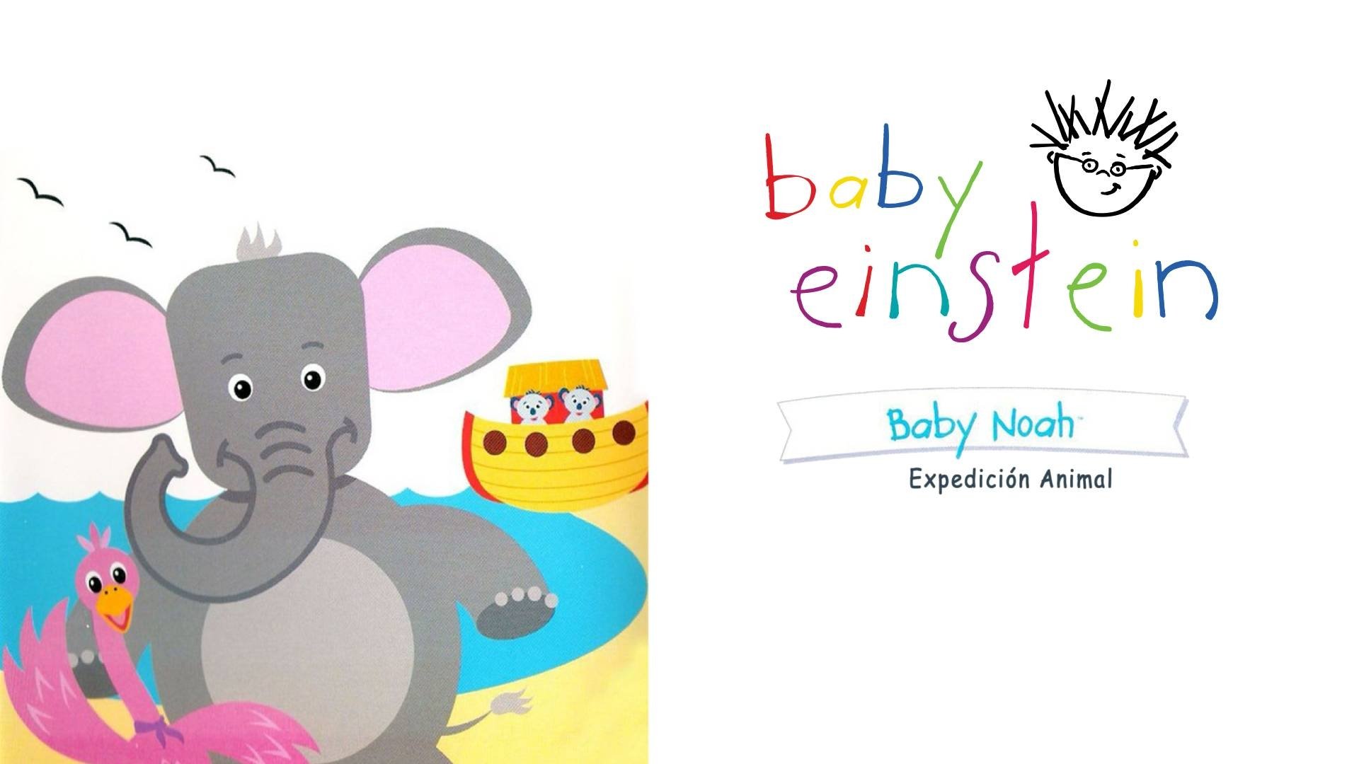 Baby Einstein: Baby Noah - Animal Expedition Background