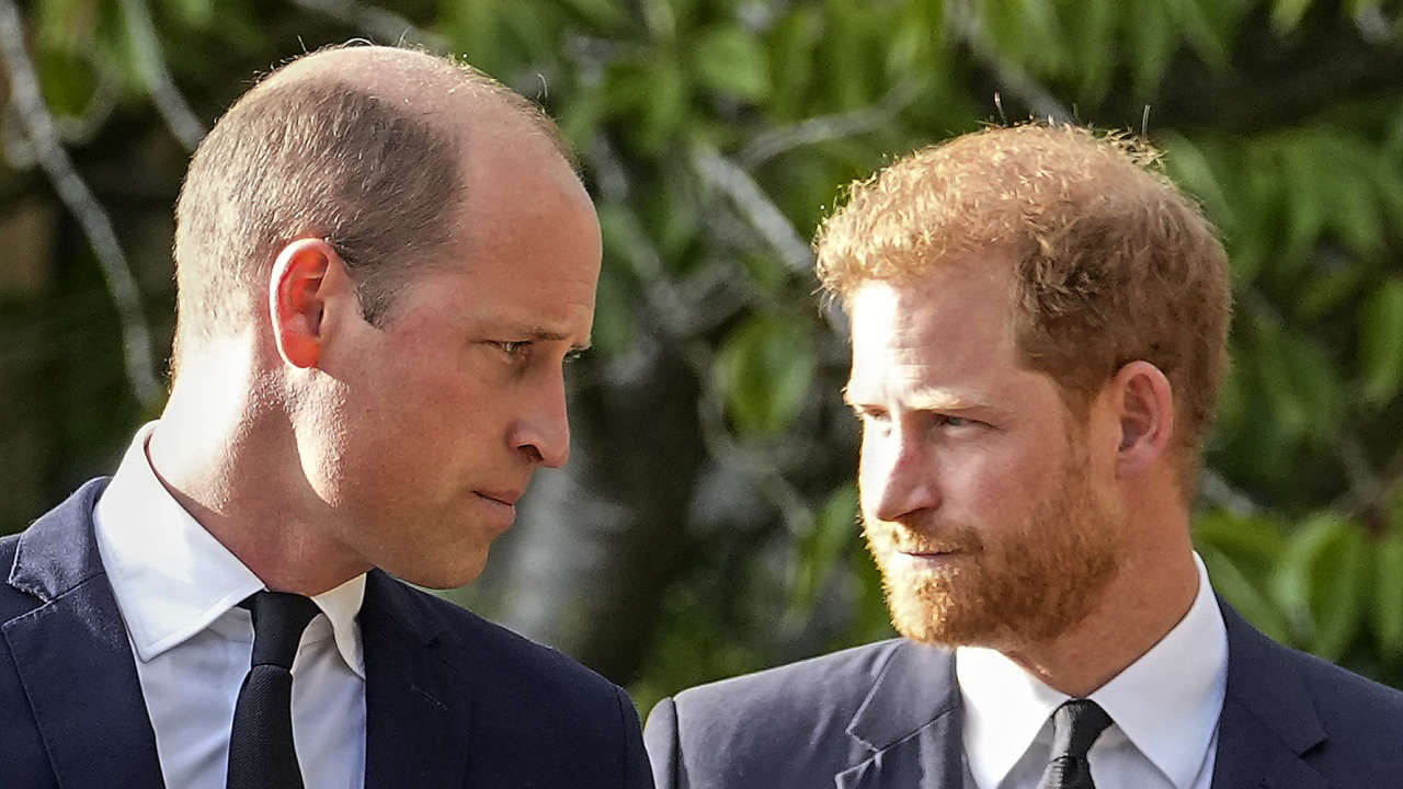 Harry vs. William: Der royale Bruderzwist Background