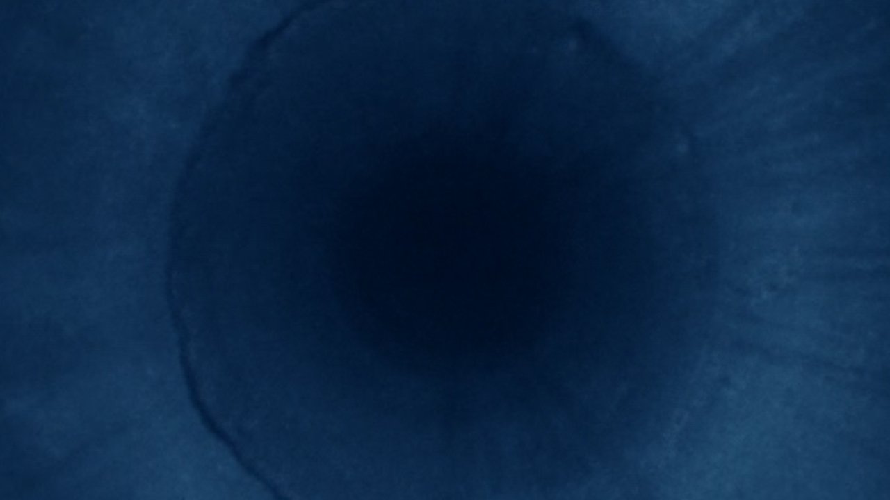 Malice in Wonderland Background