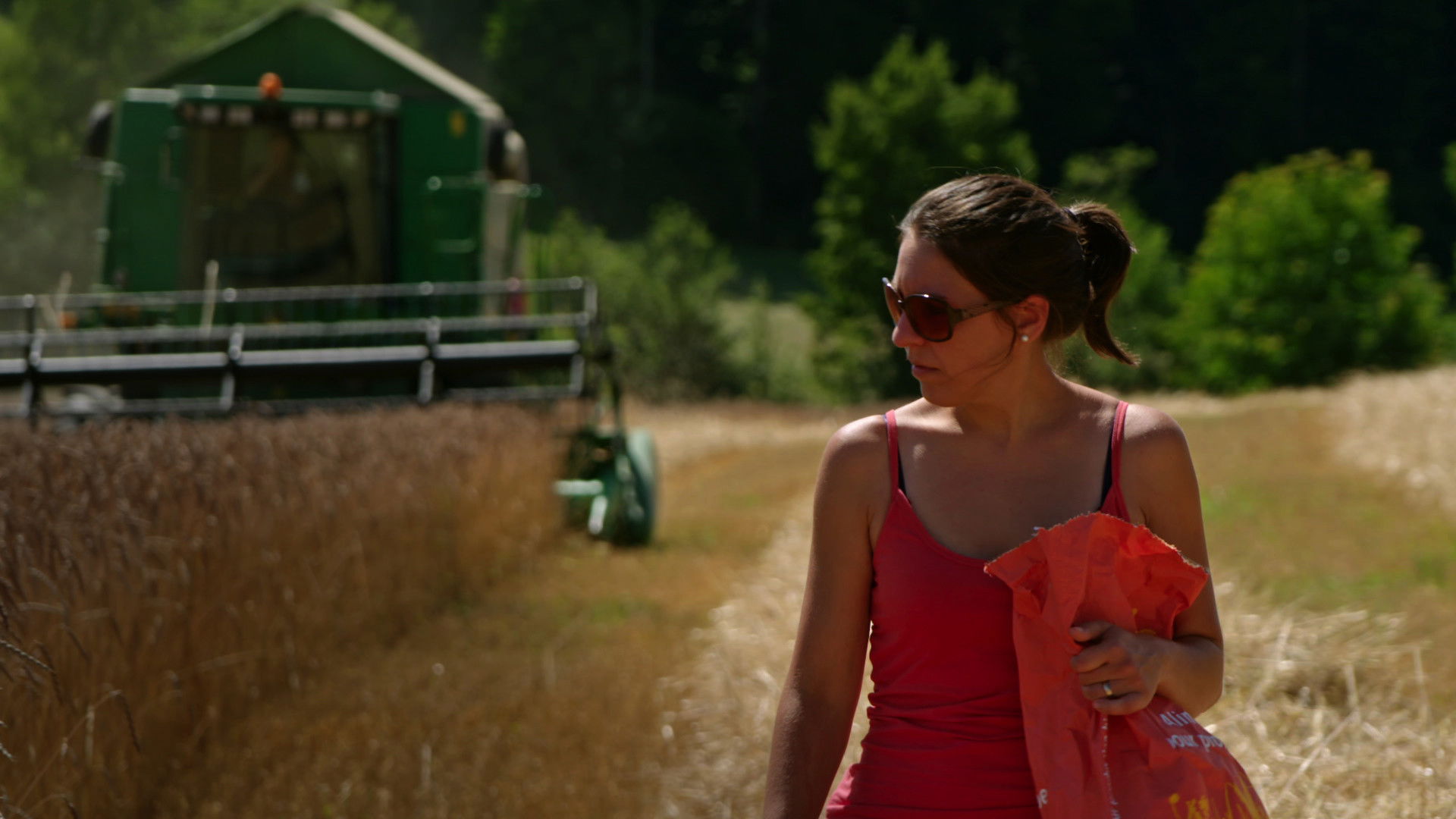 Fair Traders Background