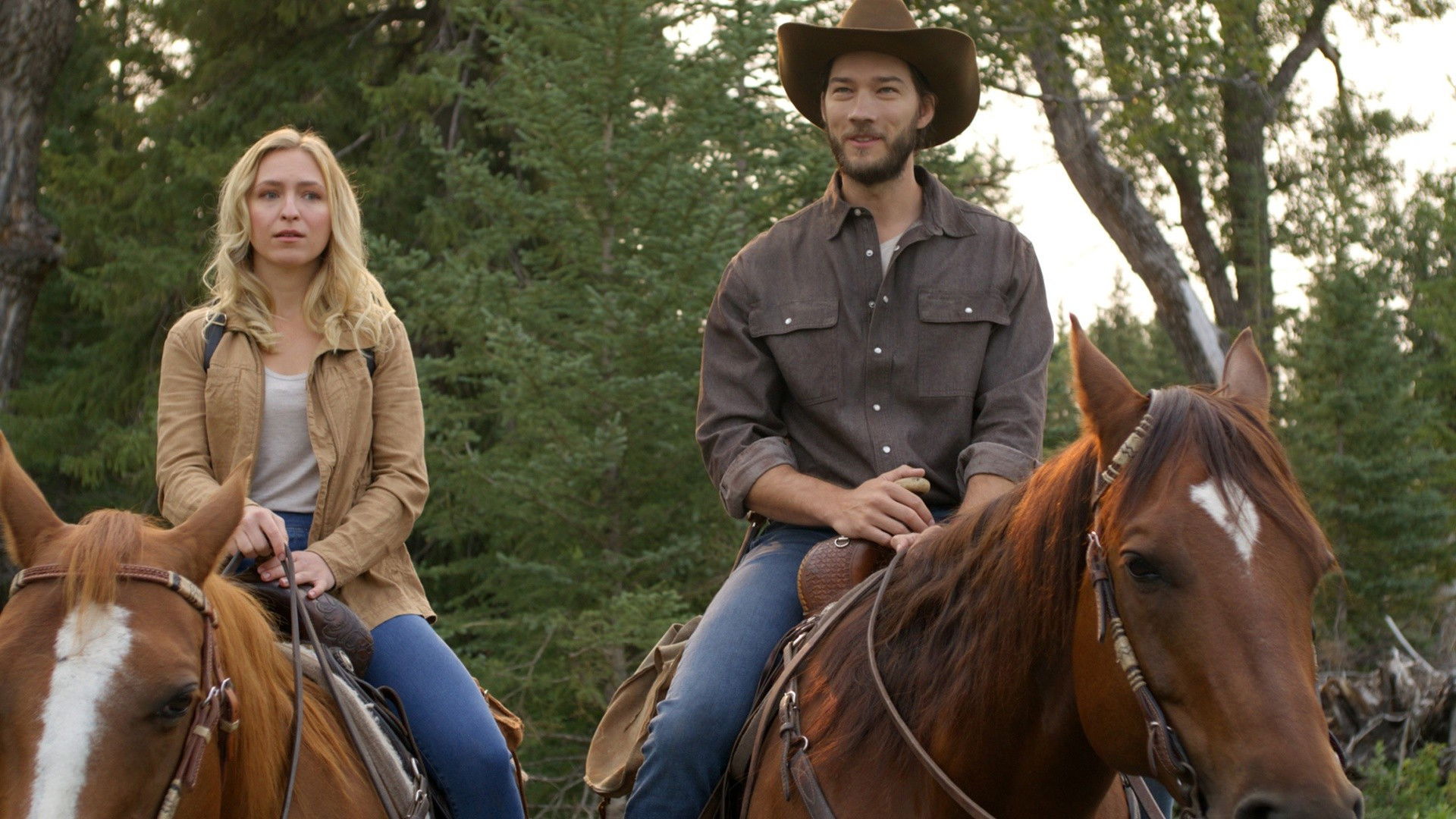 Heart's Creek Background