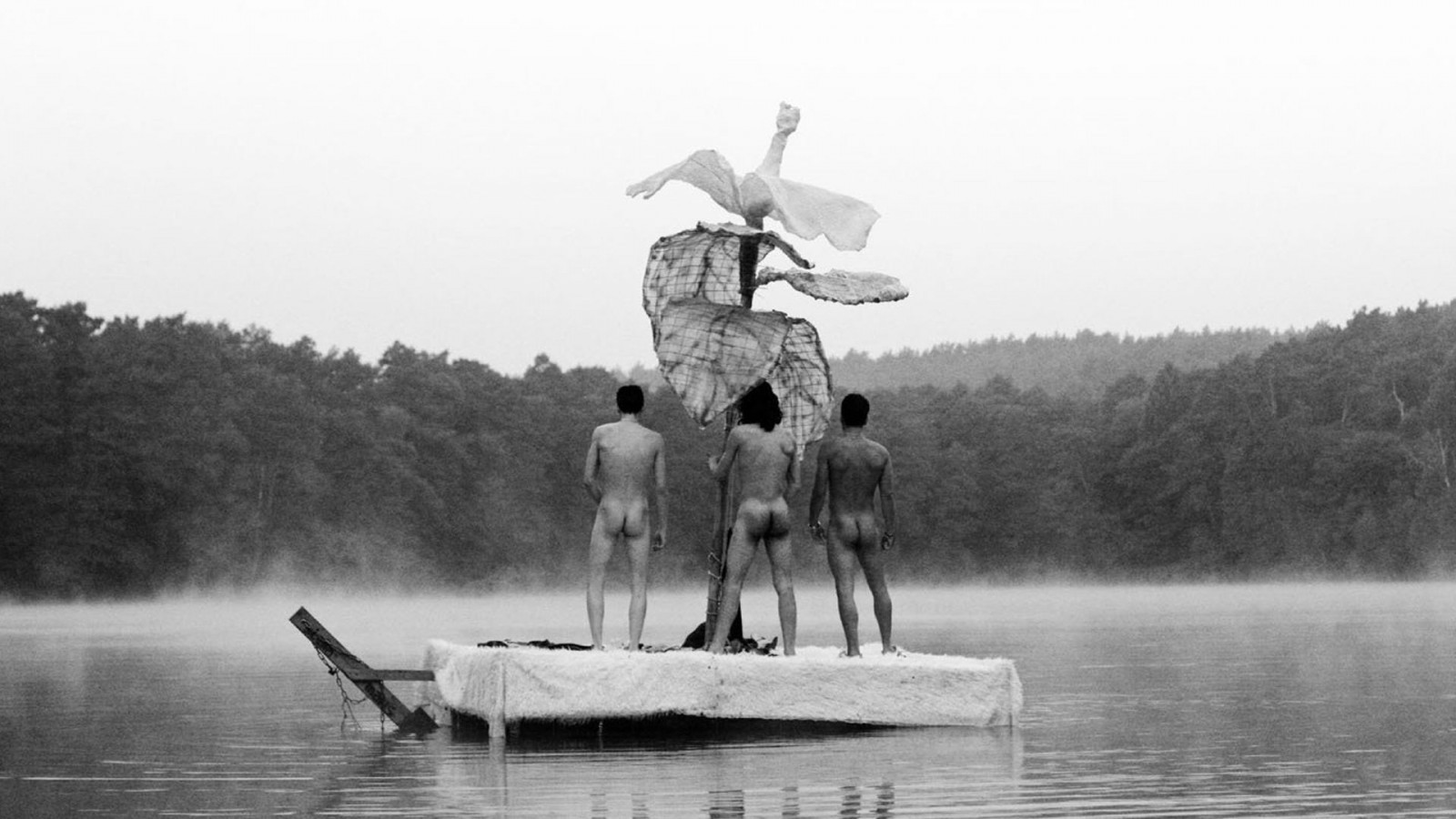 Black Sheep Background