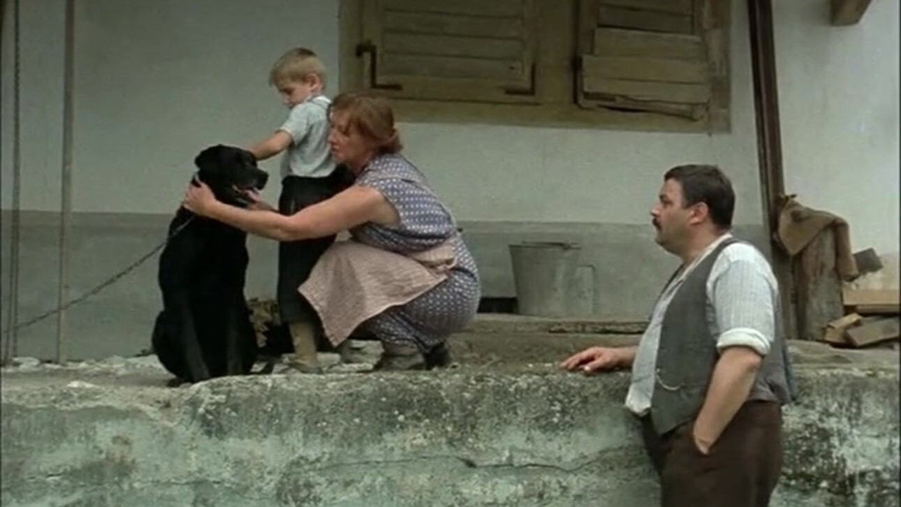 The Boat Is Full Background