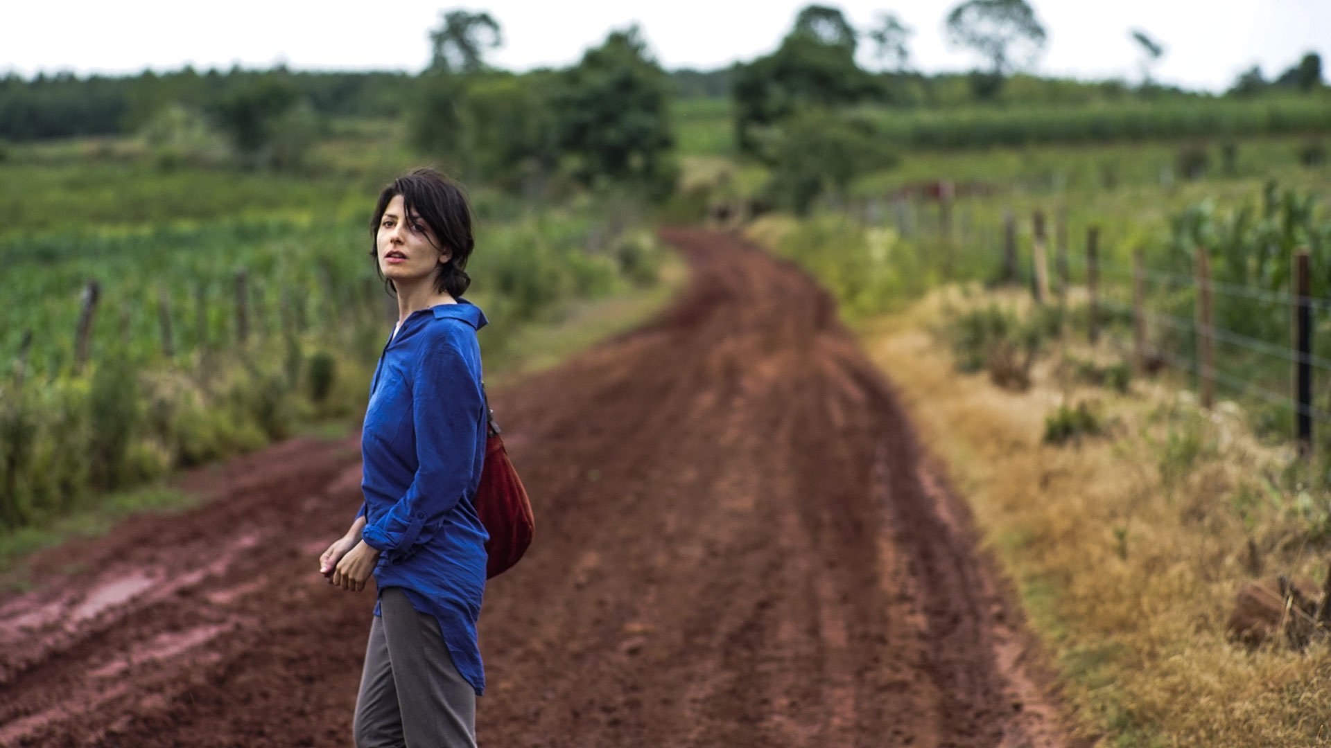 Una especie de familia Background