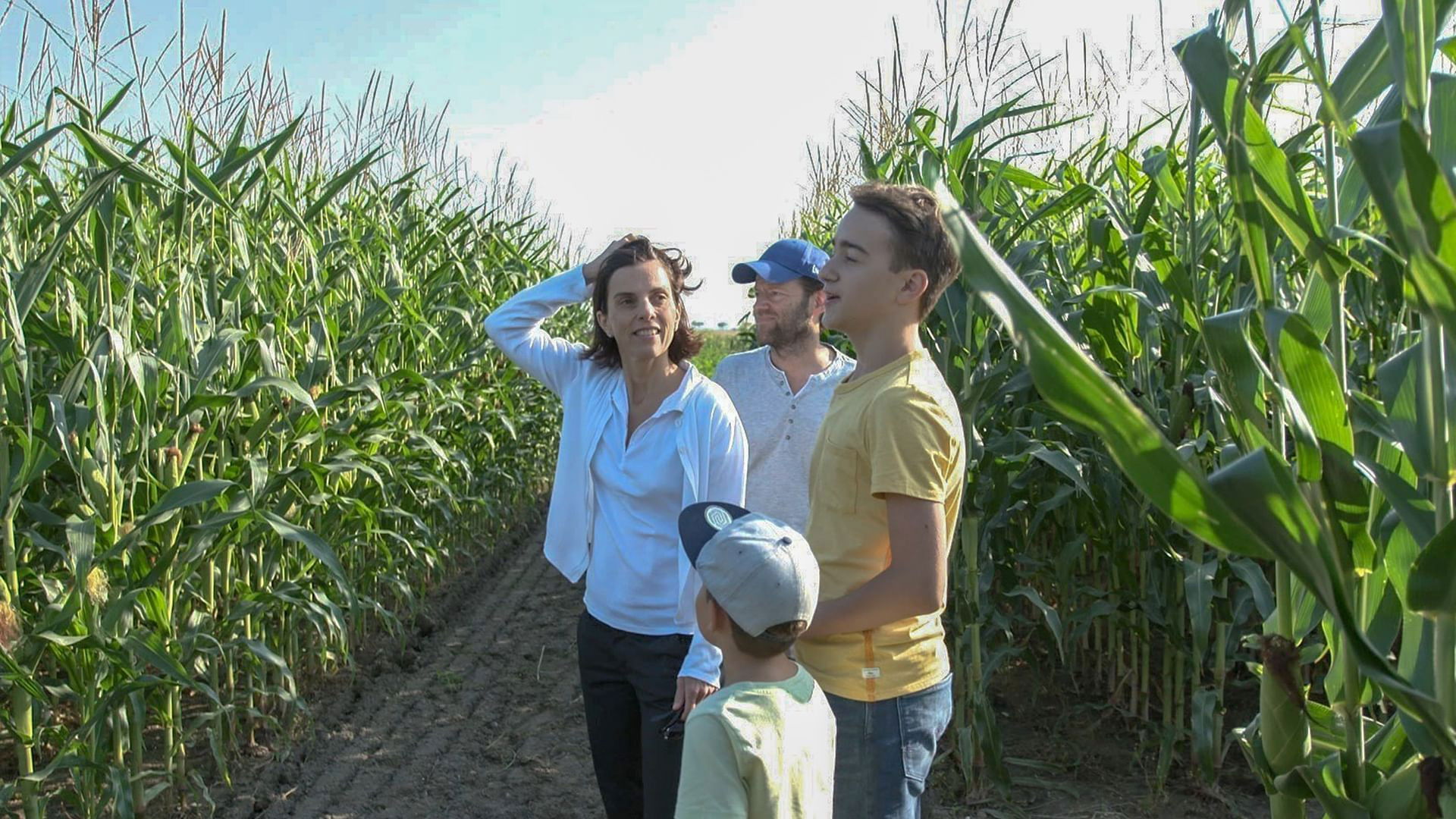 Anders essen - Das Experiment Background