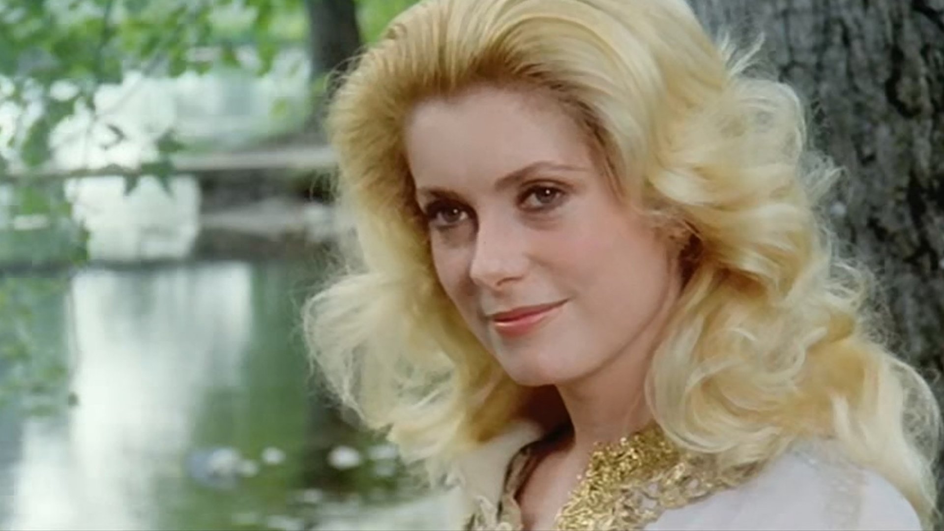 Beach House Background