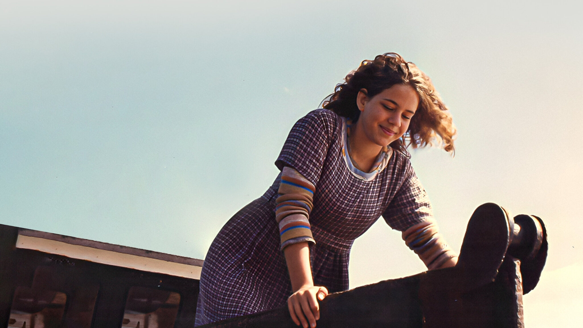 The Oyster and the Wind Background