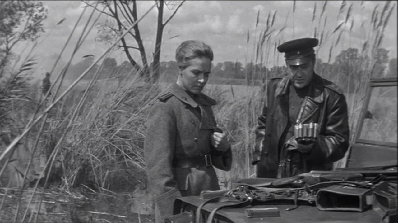 Spring on the Oder Background