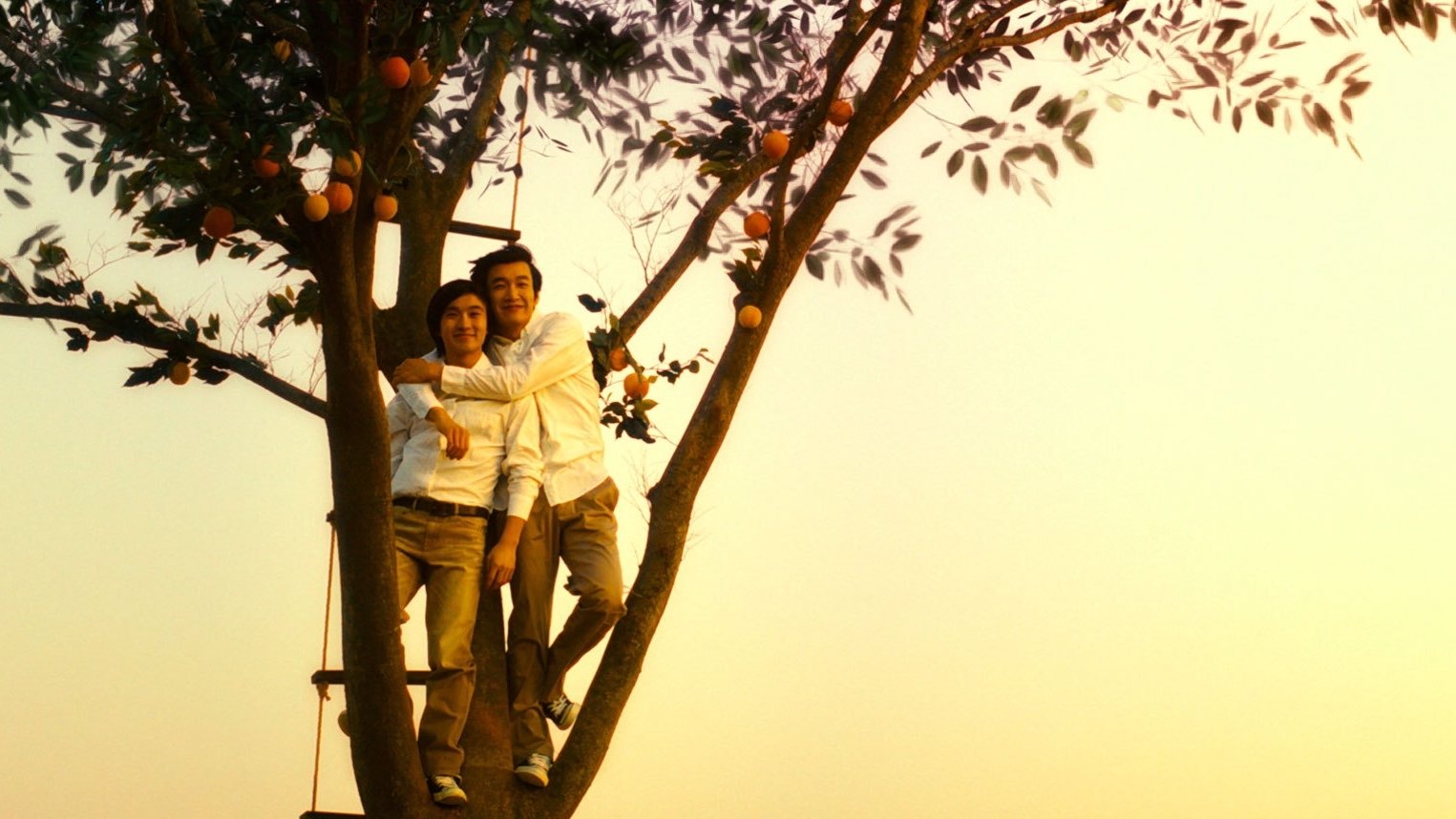 The Peach Tree Background