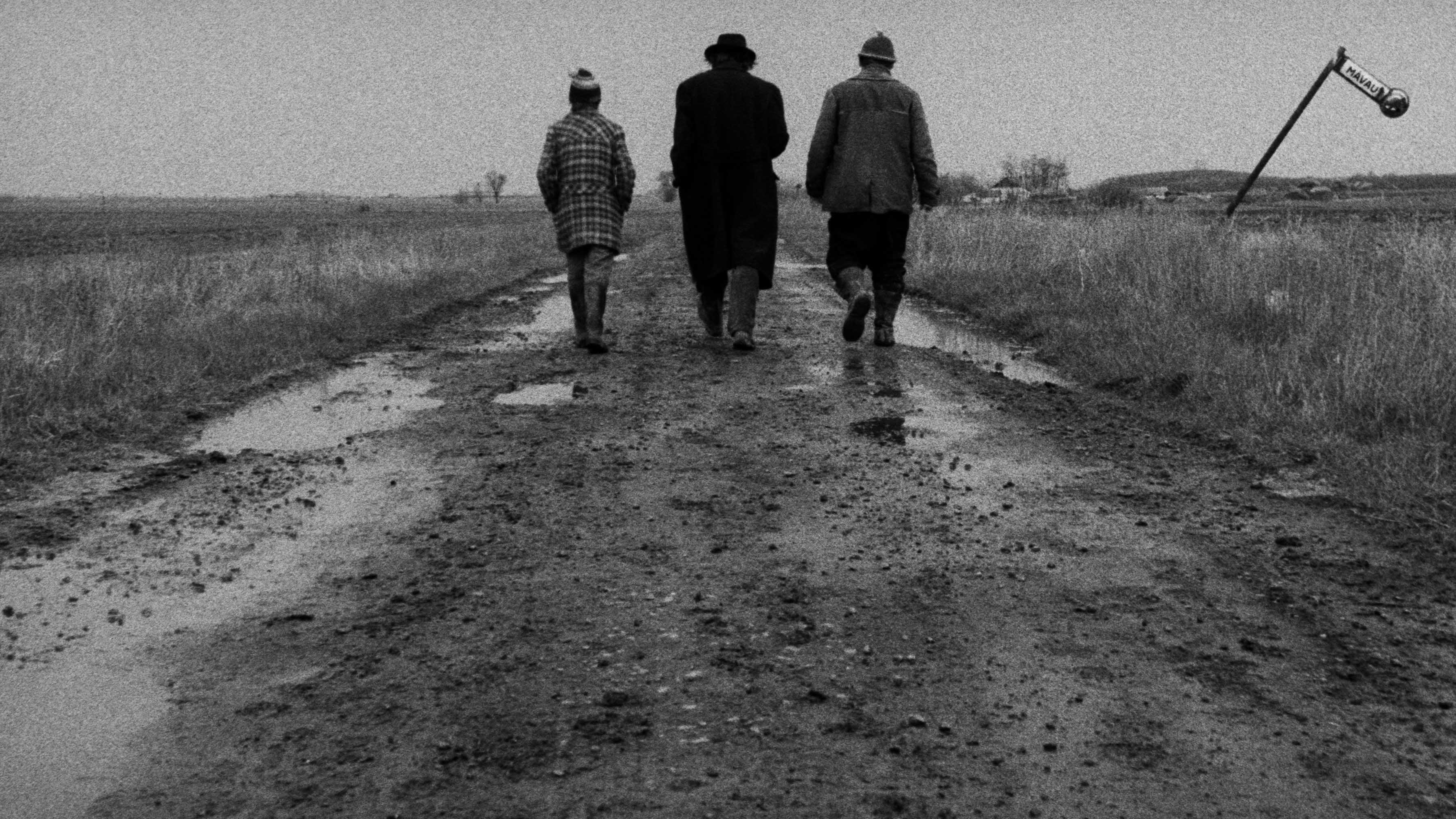 Satantango Background