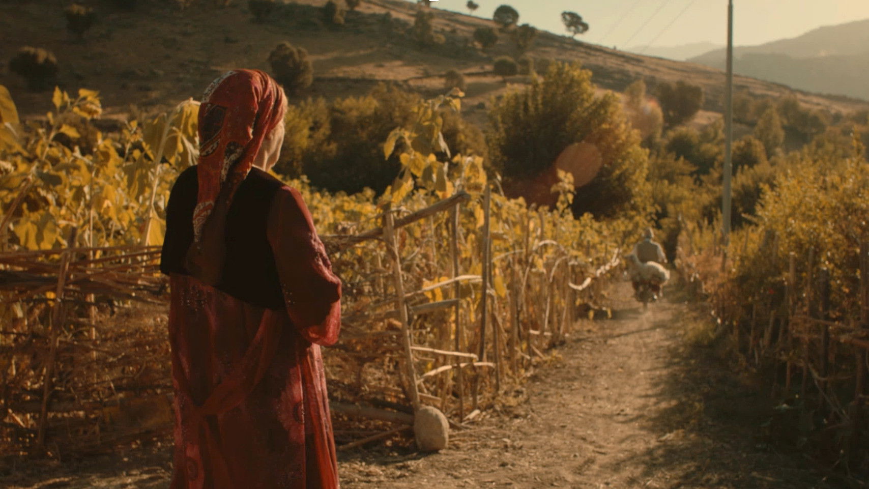 Transient Happiness Background