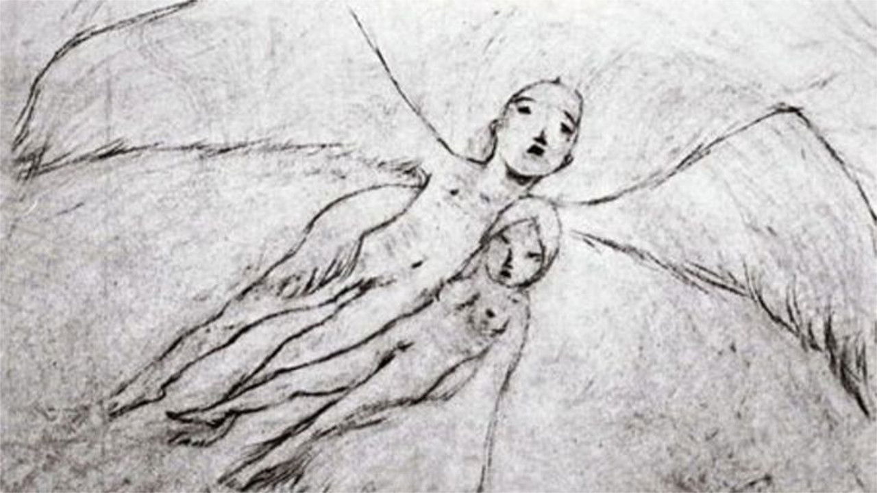 A Feather Stare at the Dark Background