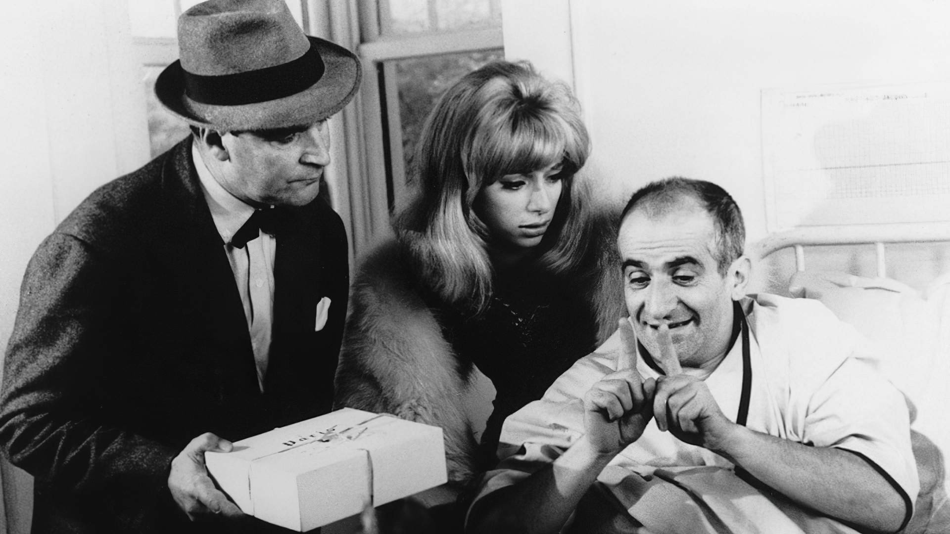 Dandelions by the Roots Background