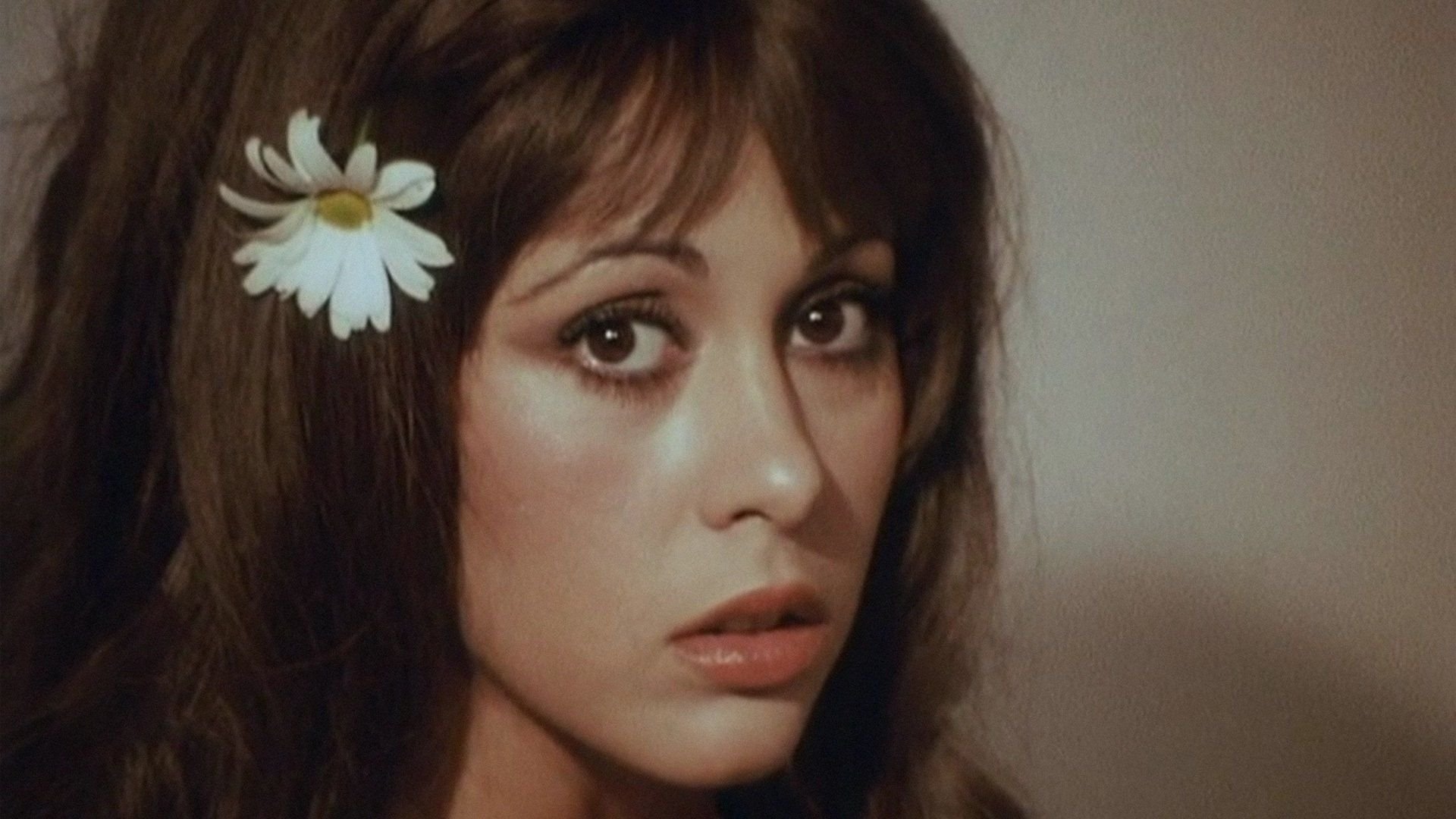 Sinner: The Secret Diary of a Nymphomaniac Background