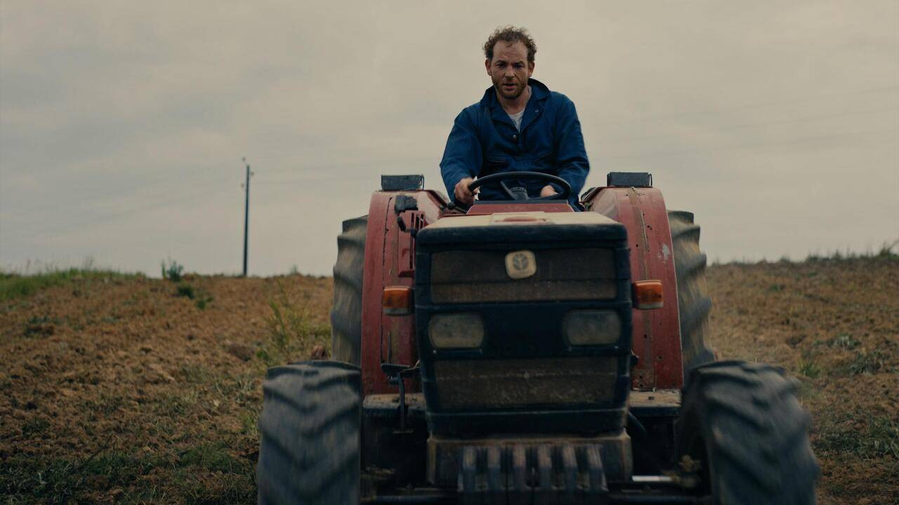 What's Wrong with My Family? Background