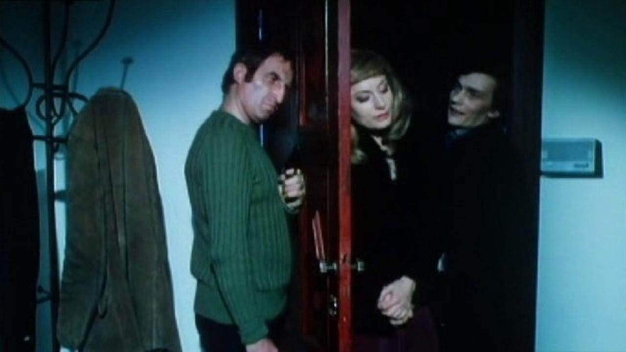 The Killers Are Our Guests Background