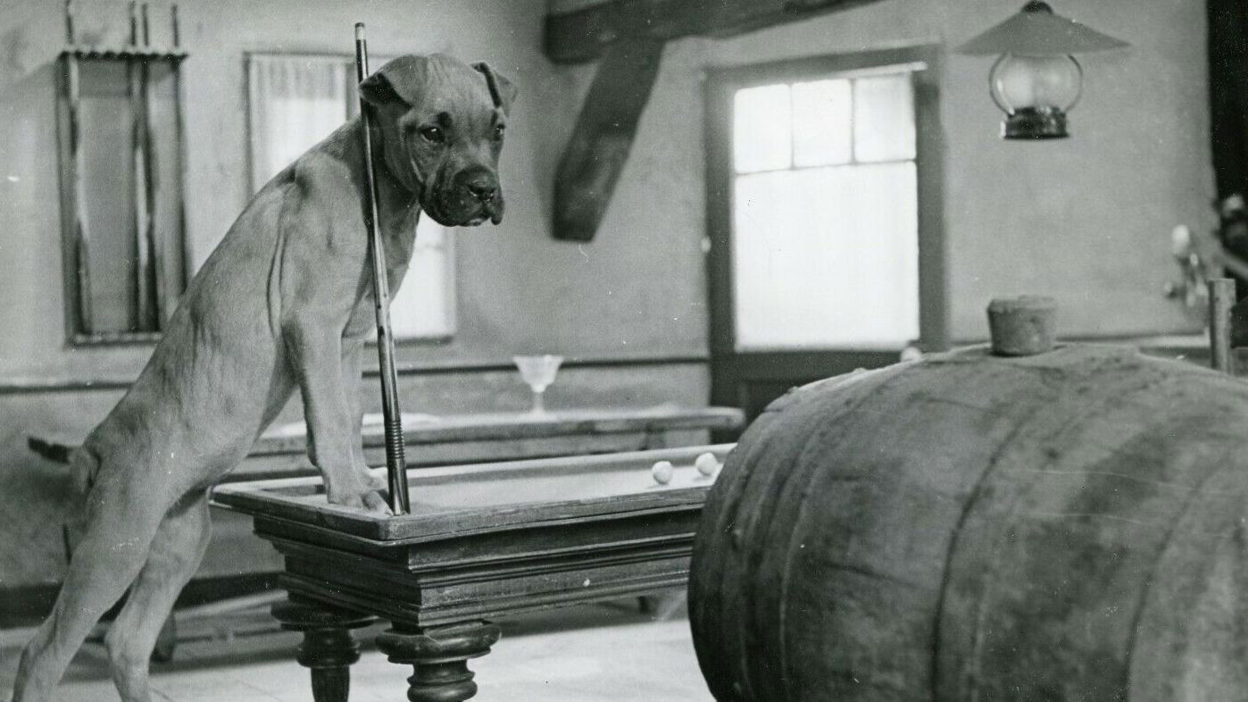 The Secret of Magic Island Background