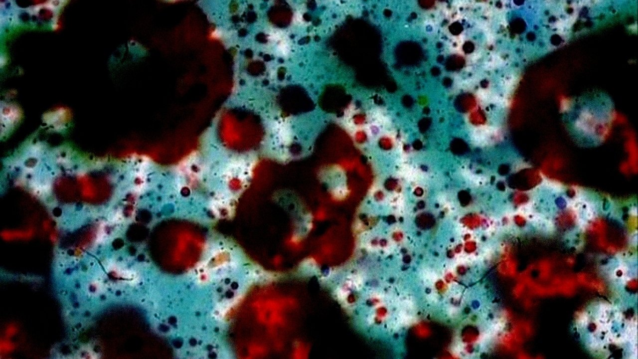 … ere erera baleibu izik subua aruaren… Background