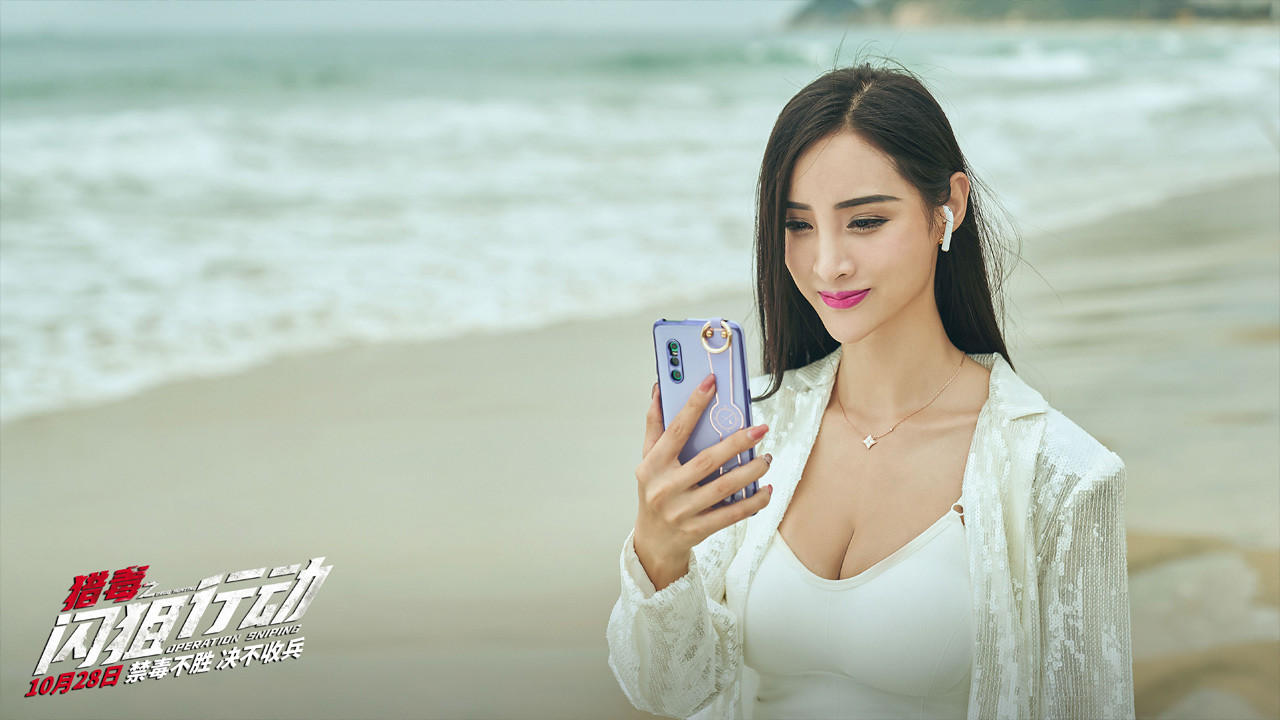 Operation Sniping Background