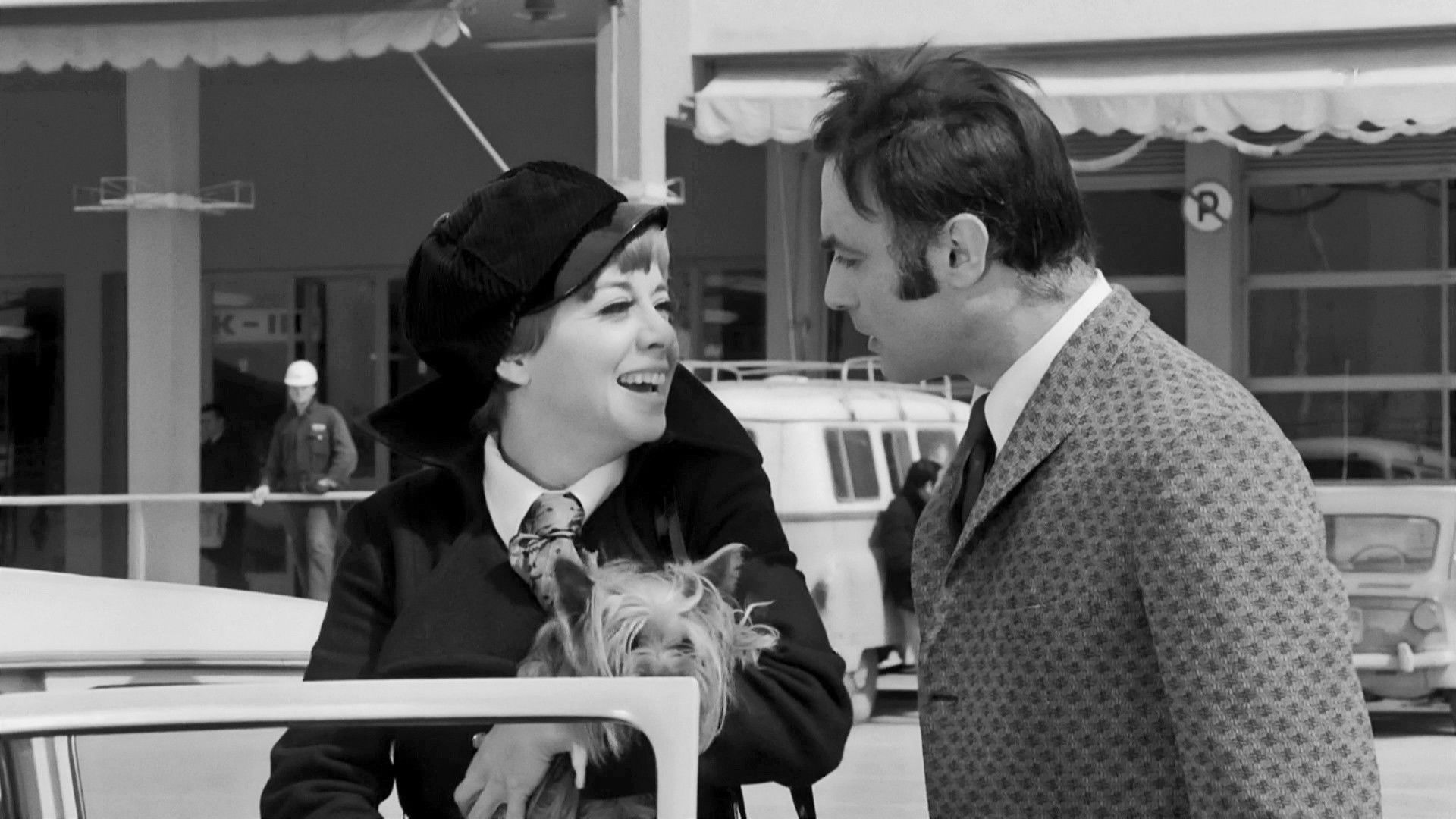 A Crazy Party Animal Background