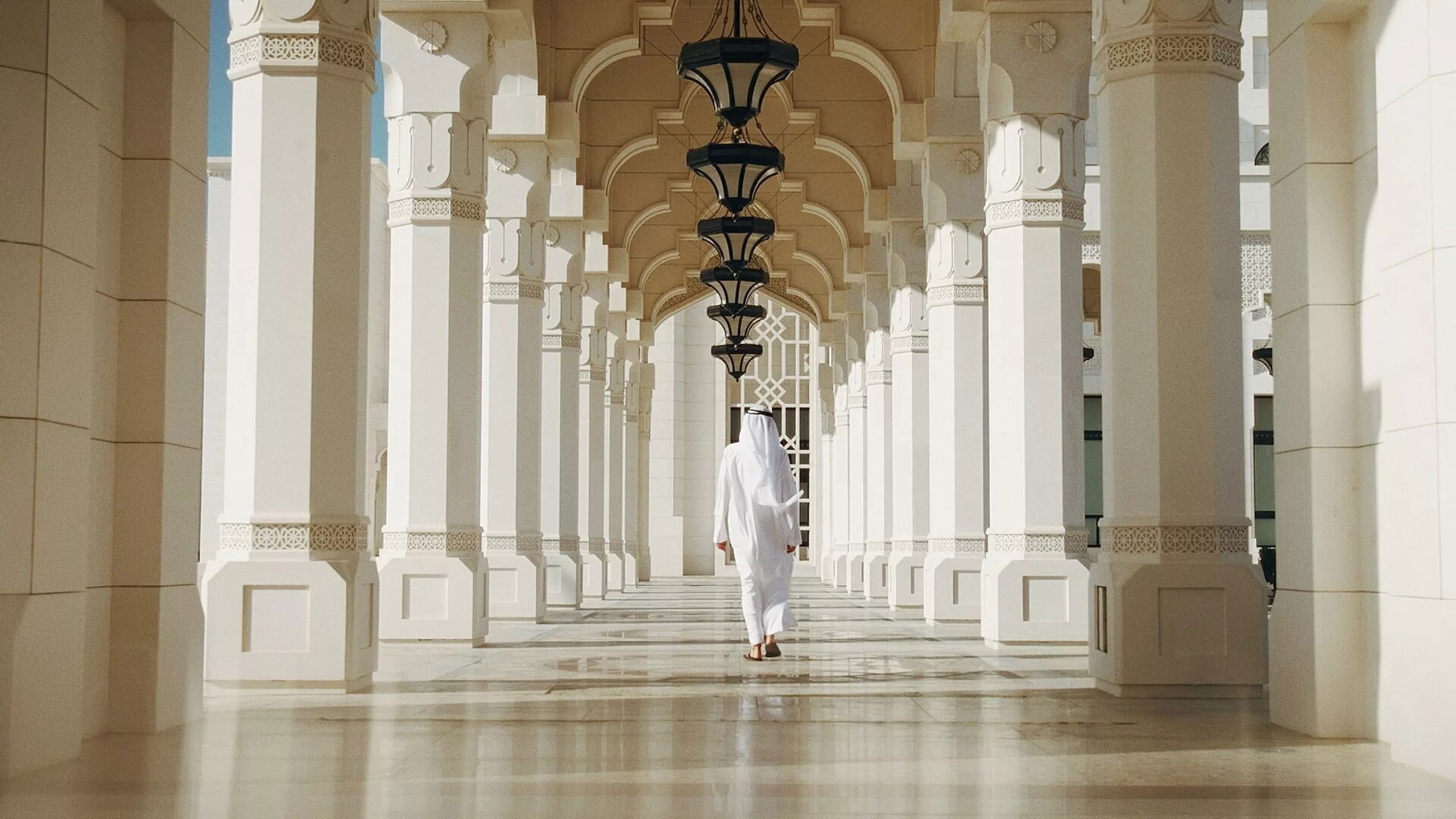 MBZ, la face cachée des Emirats arabes Background