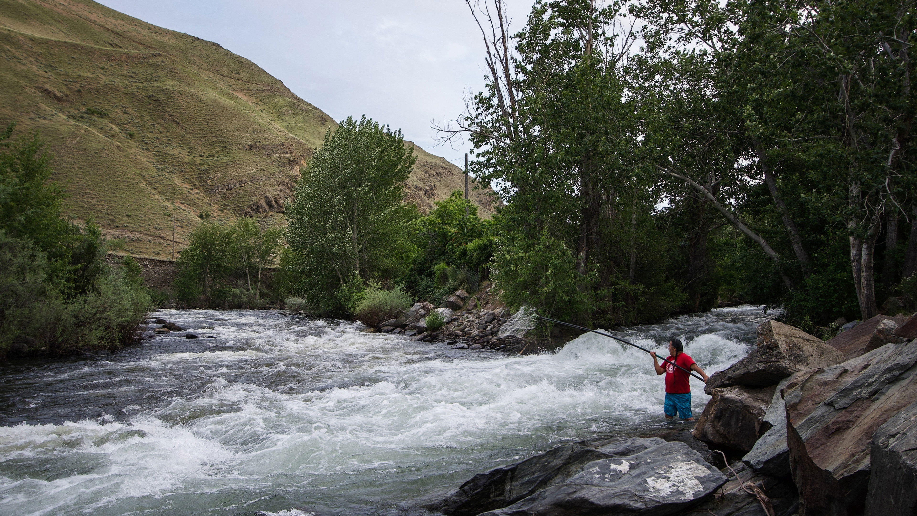 Covenant of the Salmon People Background