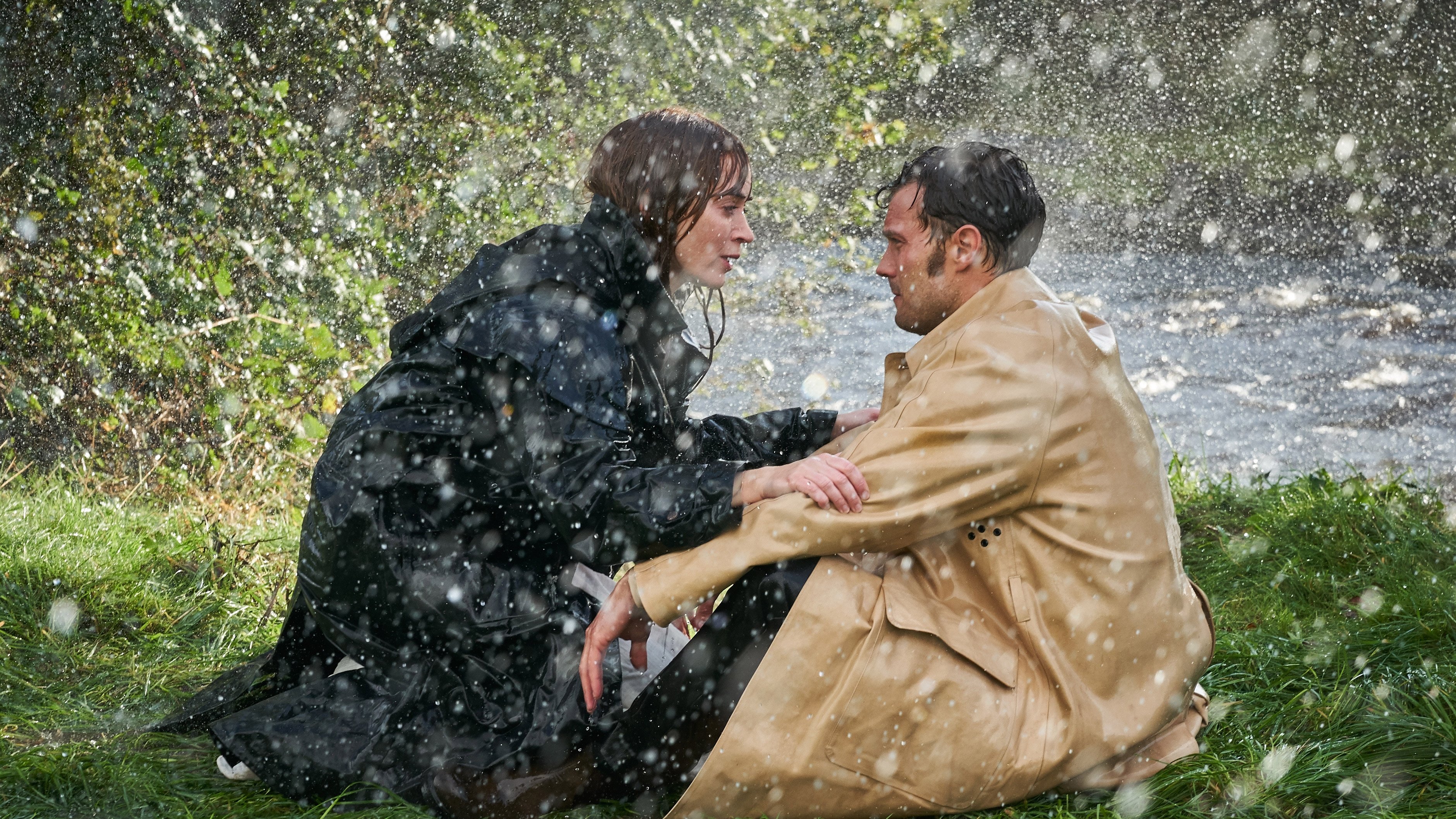 Wild Mountain Thyme Background