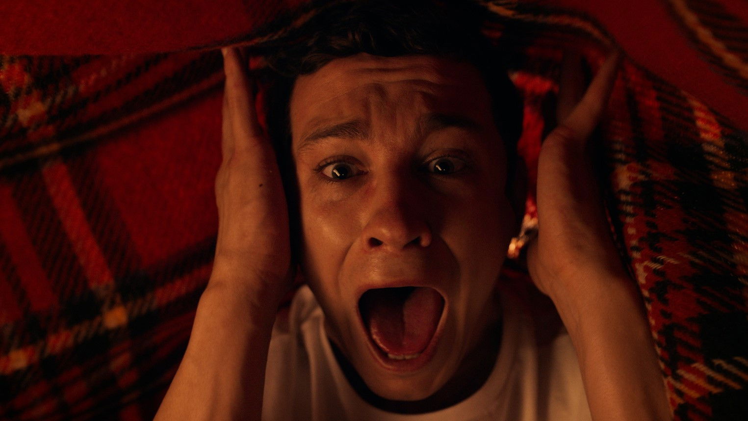 The Treasures of the Gnomes Background