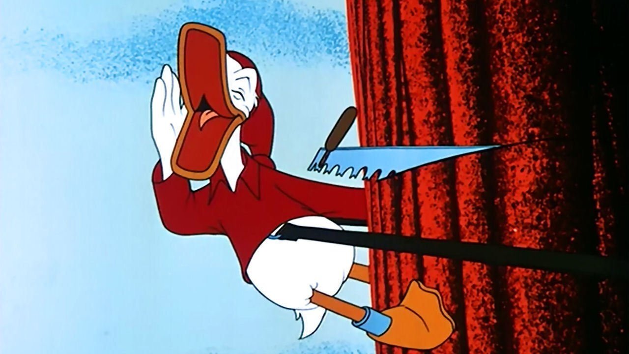 Up a Tree Background