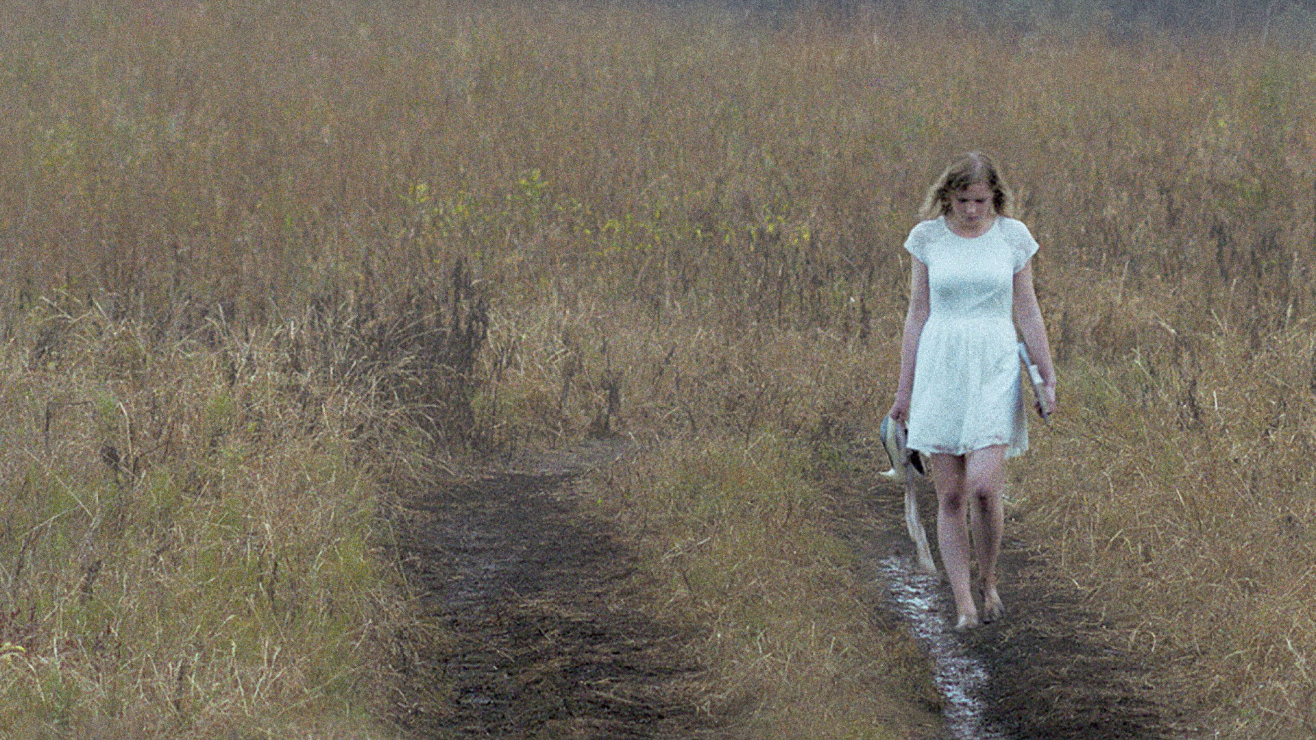 Mellow Mud Background