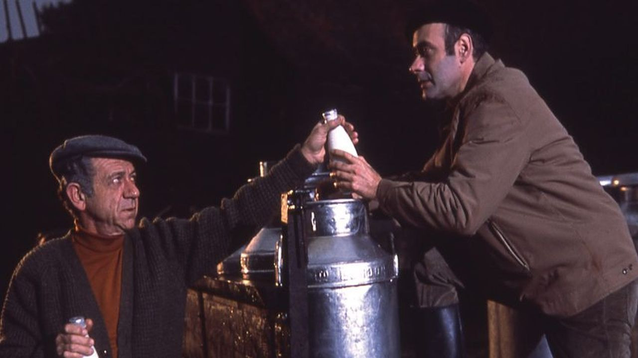 Two in Clover Background