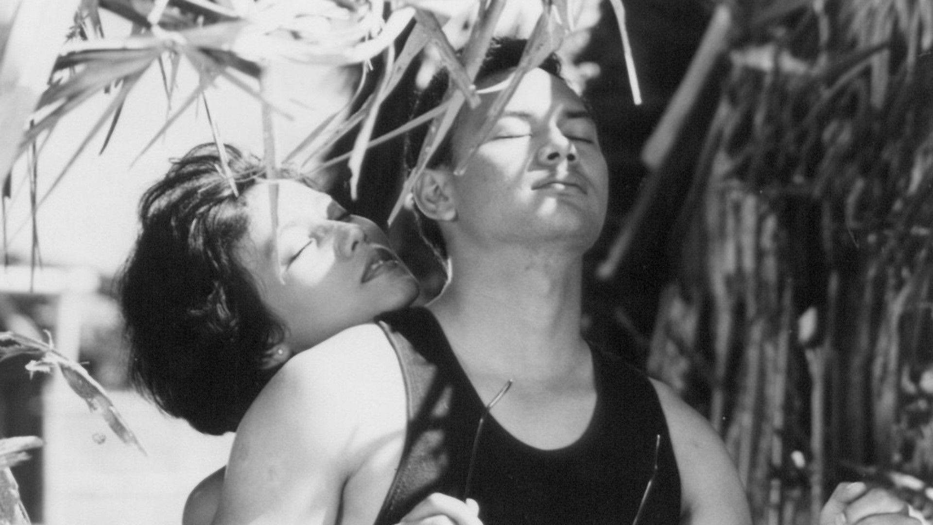 Love in a Slice of Bread Background