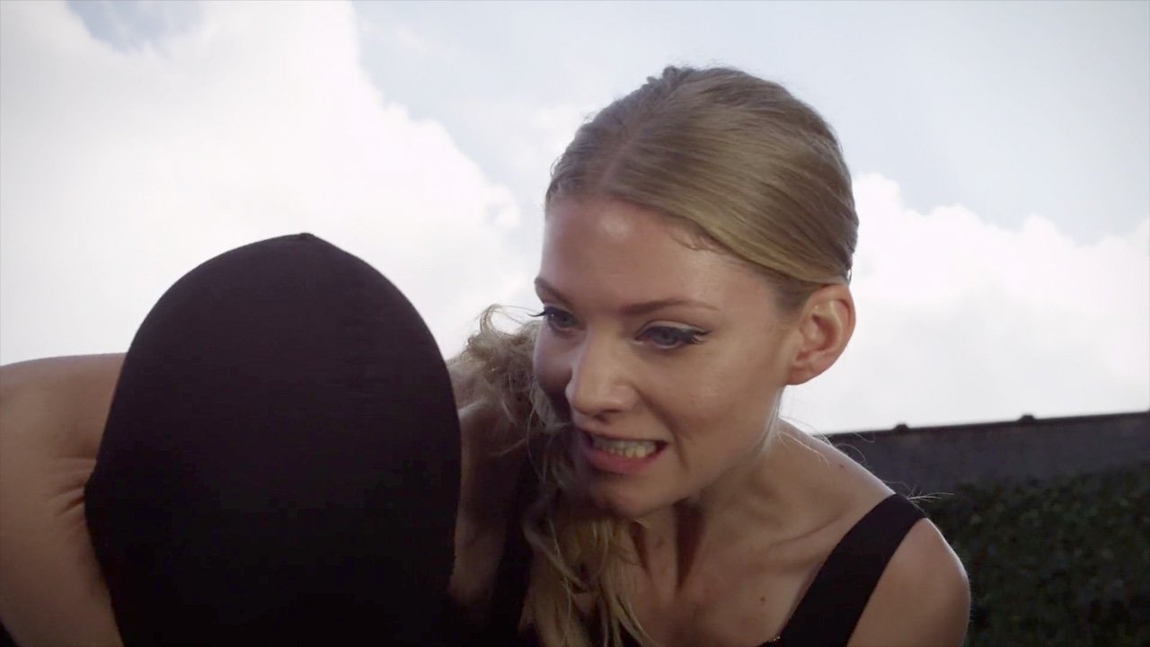 Cat Run 2 Background