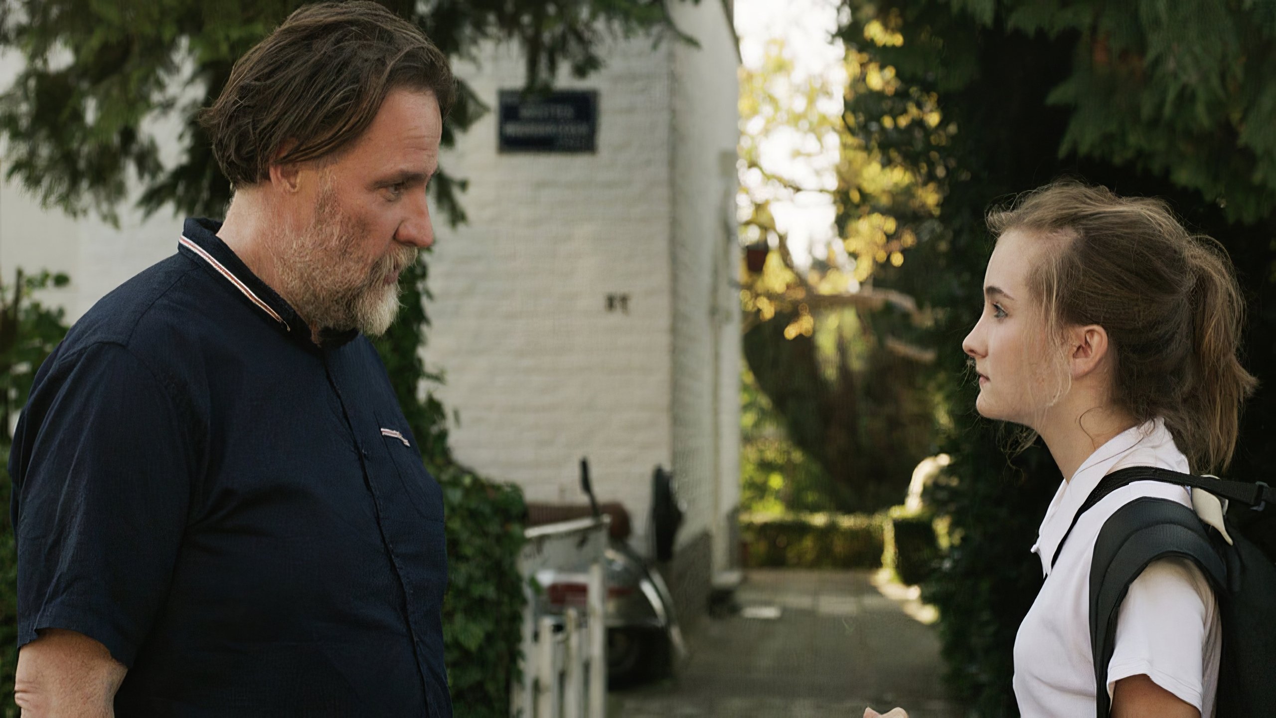 All Cats Are Grey Background