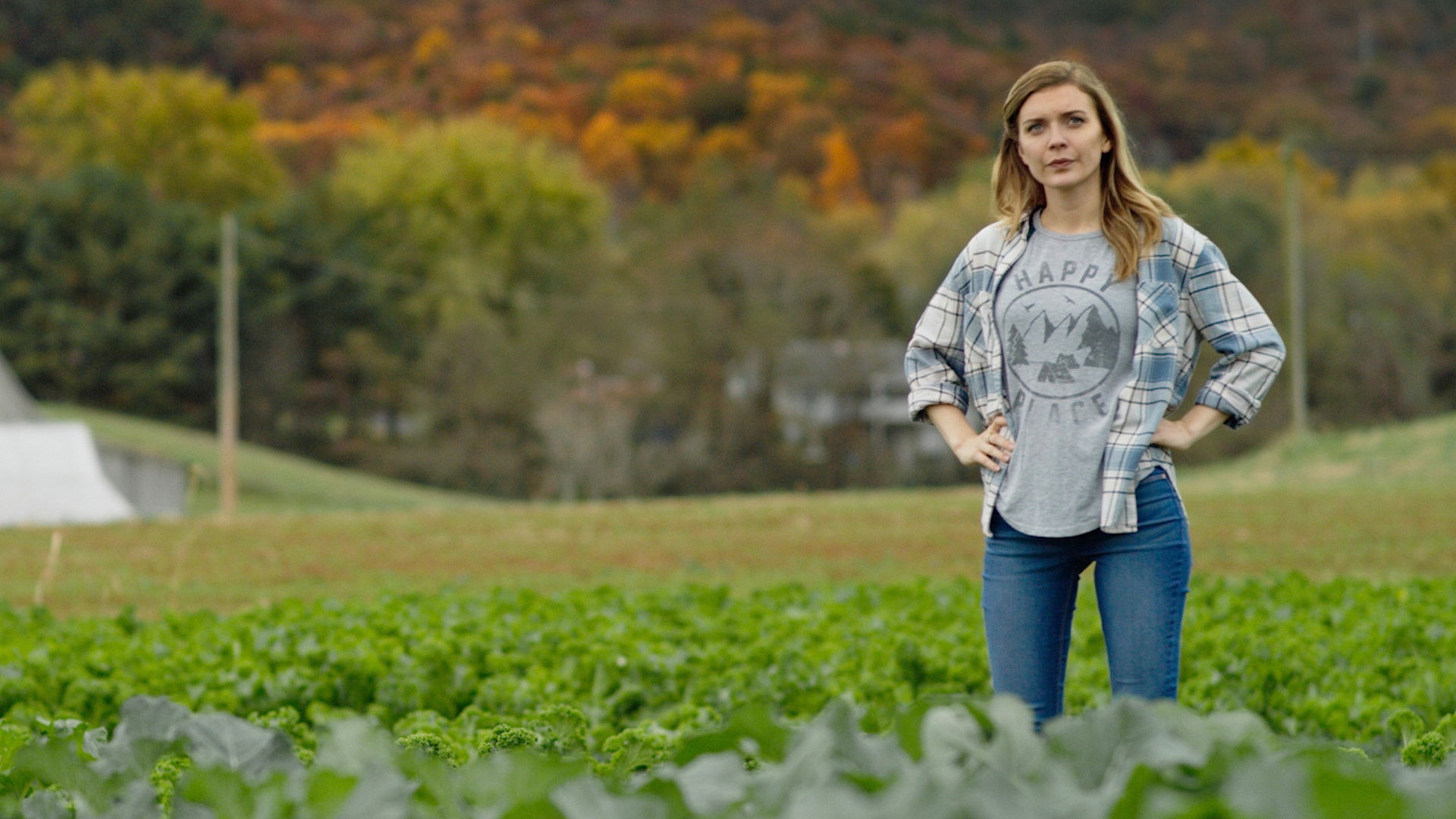 Princess Cut 2: Hearts on Fire Background