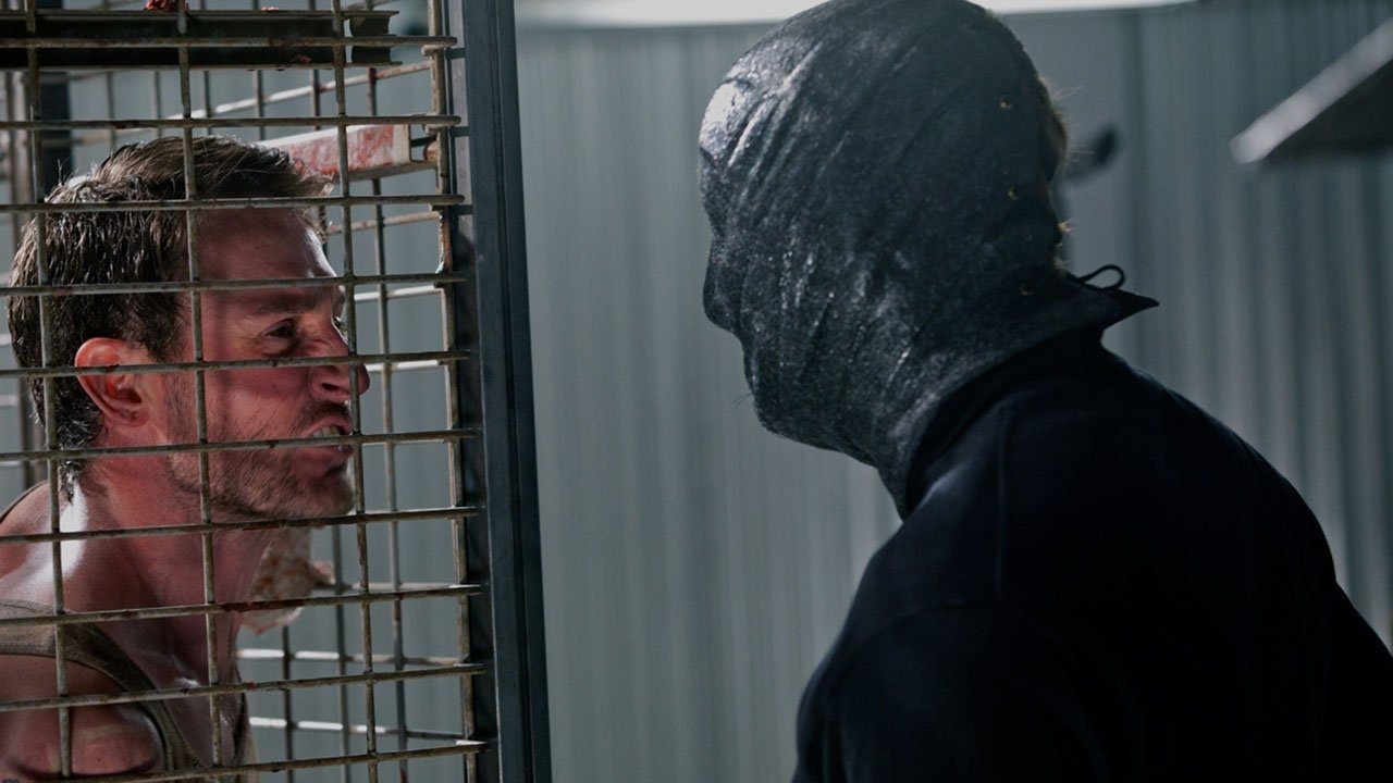 The Collection Background