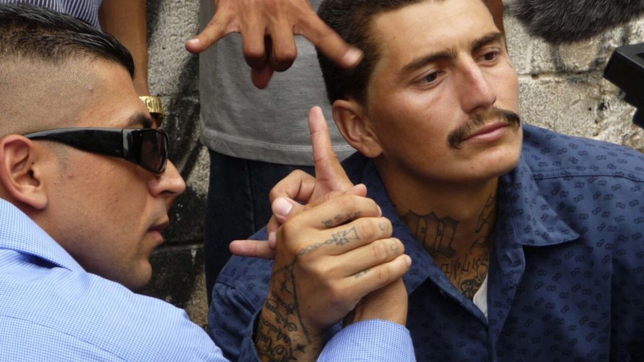 World's Most Dangerous Gang Background